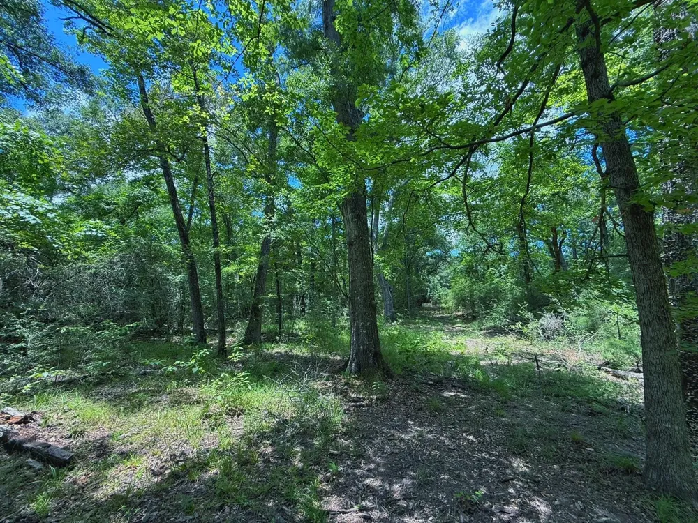 Cr 296 Oakwood, TX 75855