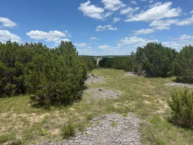 1320 Private Road 16021 Jonesboro, TX 76538