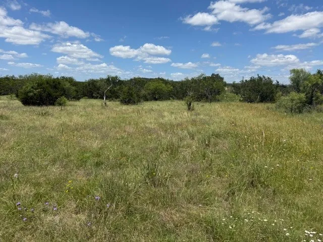 1320 Private Road 16021 Jonesboro, TX 76538