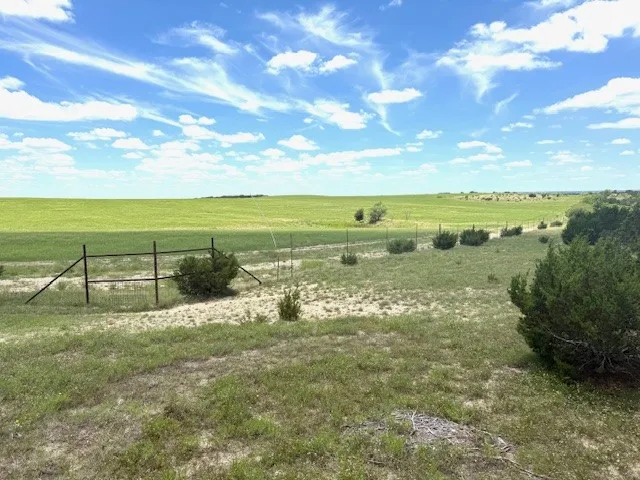1320 Private Road 16021 Jonesboro, TX 76538