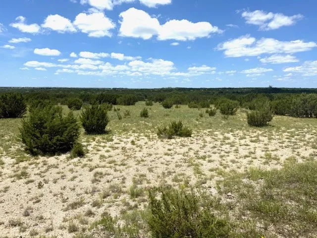 1320 Private Road 16021 Jonesboro, TX 76538