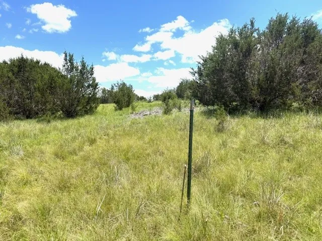 1320 Private Road 16021 Jonesboro, TX 76538