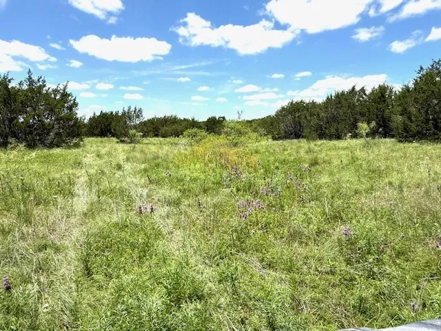 1320 Private Road 16021 Jonesboro, TX 76538