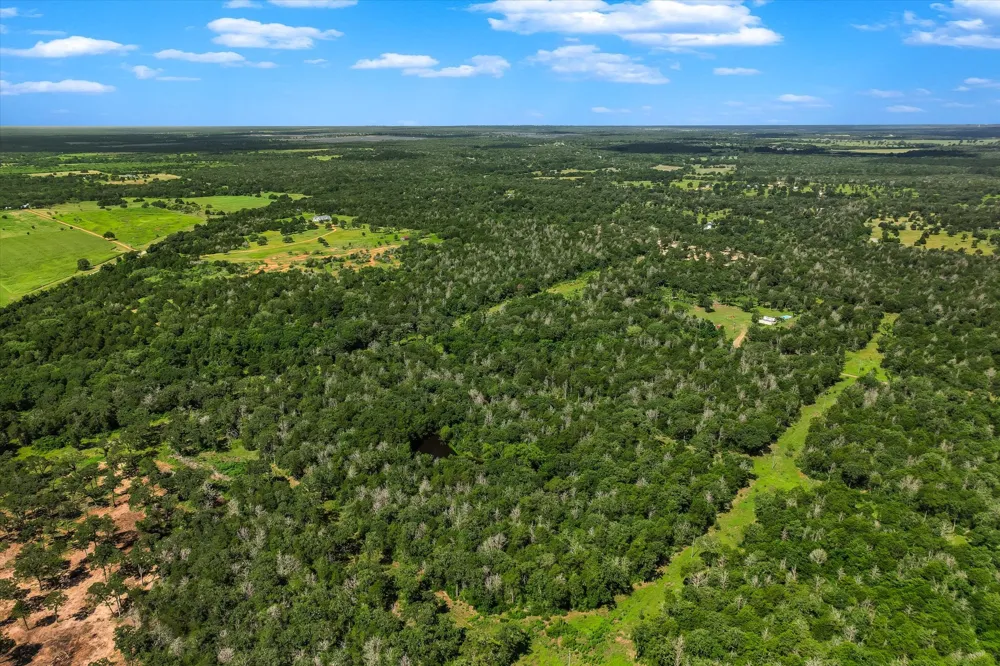 12 High Crossing Road Smithville, TX 78957