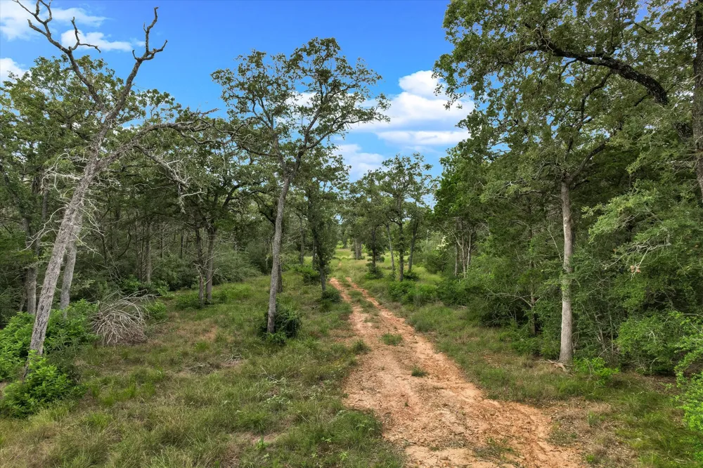 12 High Crossing Road Smithville, TX 78957
