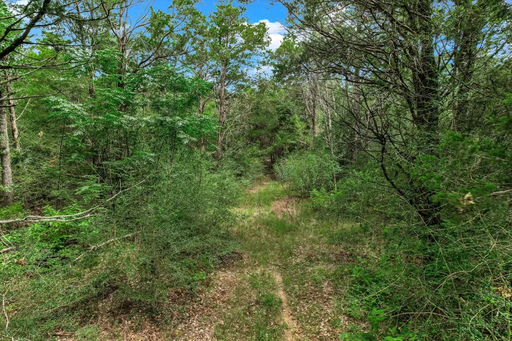 12 High Crossing Road Smithville, TX 78957