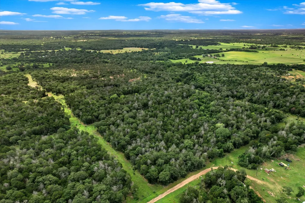 12 High Crossing Road Smithville, TX 78957
