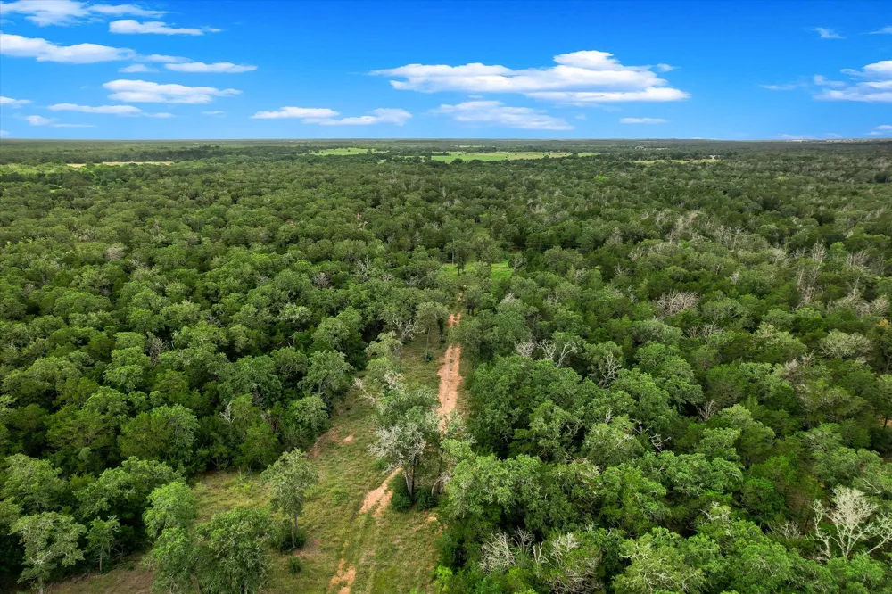 12 High Crossing Road Smithville, TX 78957