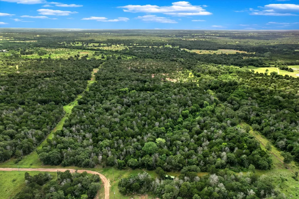 12 High Crossing Road Smithville, TX 78957