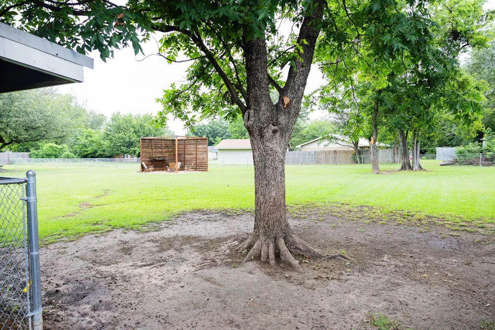 508 Fleming St. Mount Vernon, TX 75457