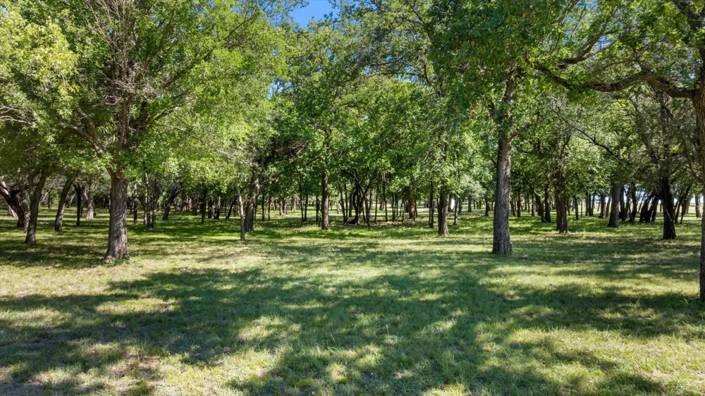 15403 Mule Branch Court Lipan, TX 76462