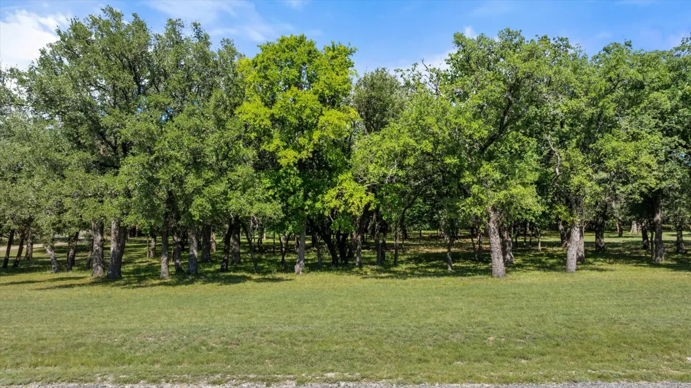 15403 Mule Branch Court Lipan, TX 76462