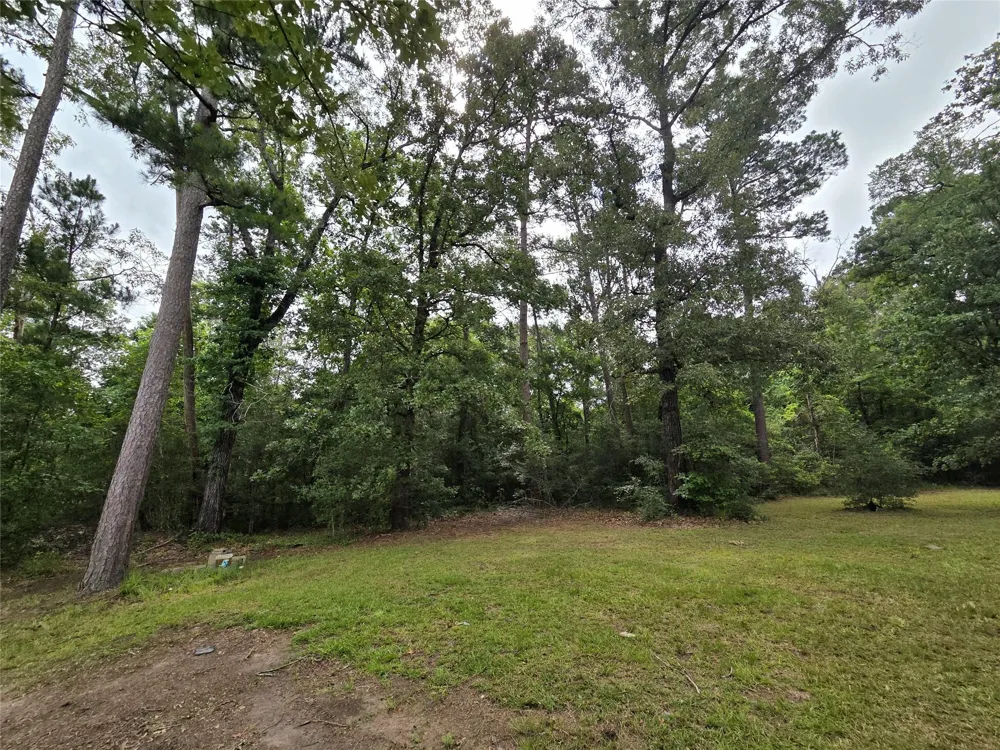 311 Chestnut Bend Huntsville, TX 77320