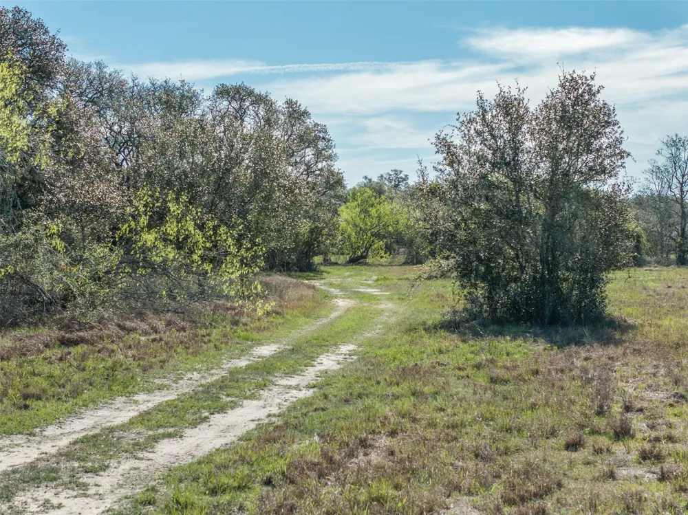 1746 County Road 103 Columbus, TX 78934