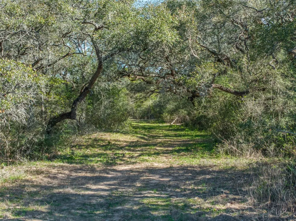 1746 County Road 103 Columbus, TX 78934