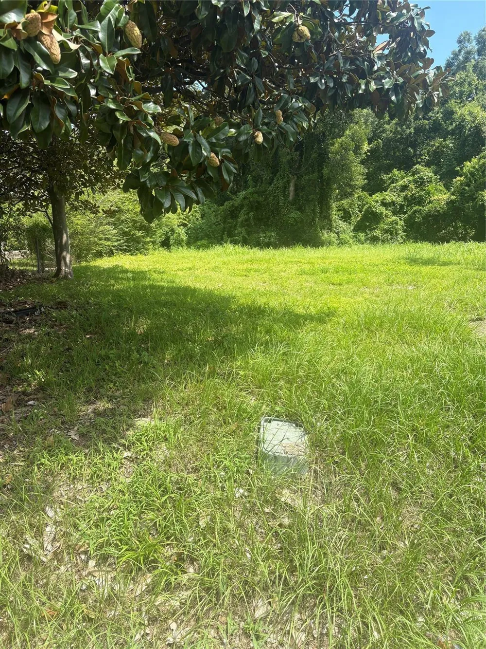225 E Delaware Street Beaumont, TX 77703