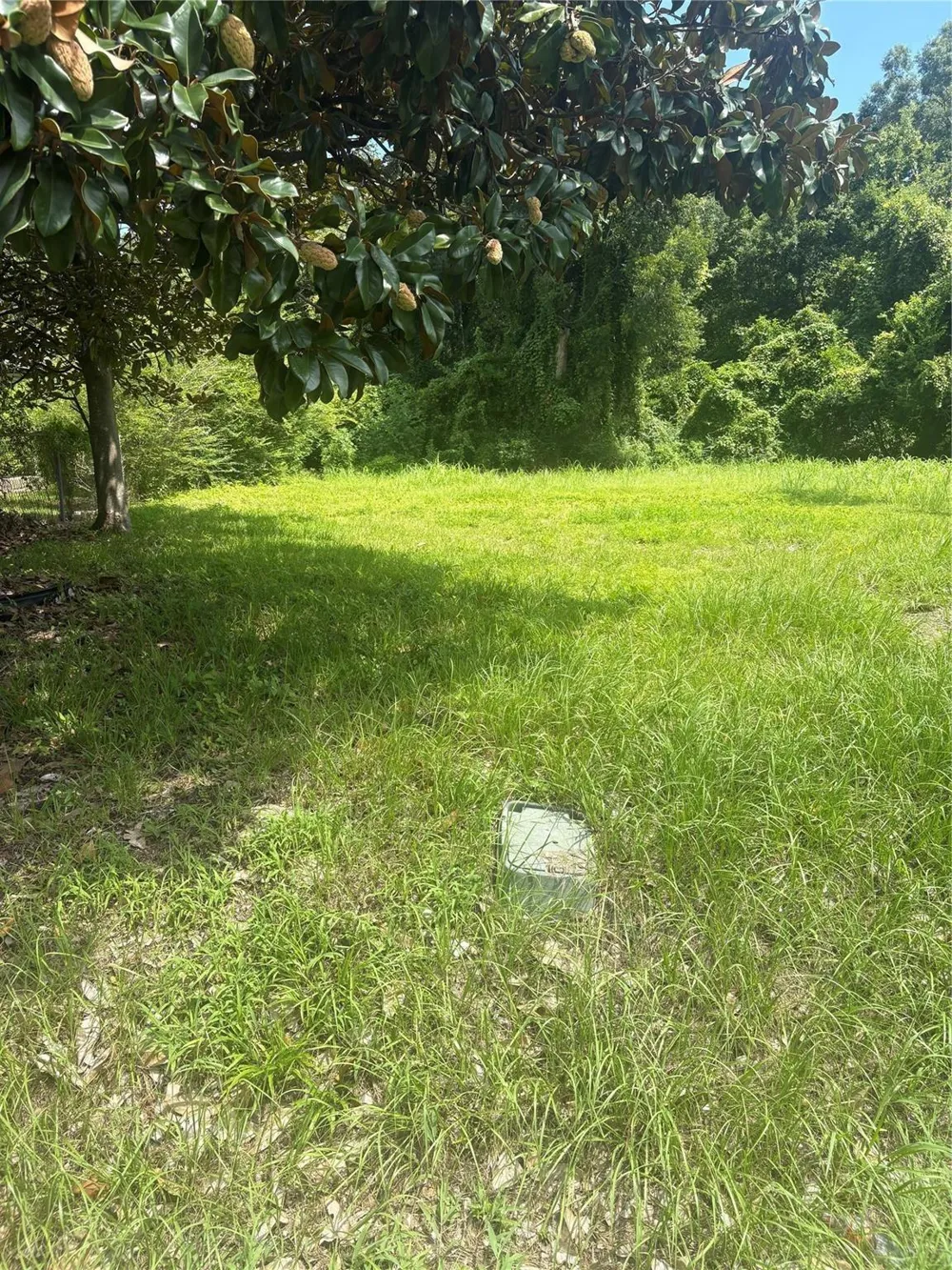 225 E Delaware Street Beaumont, TX 77703