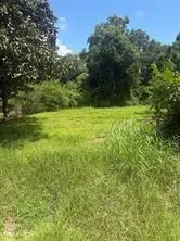 225 E Delaware Street Beaumont, TX 77703