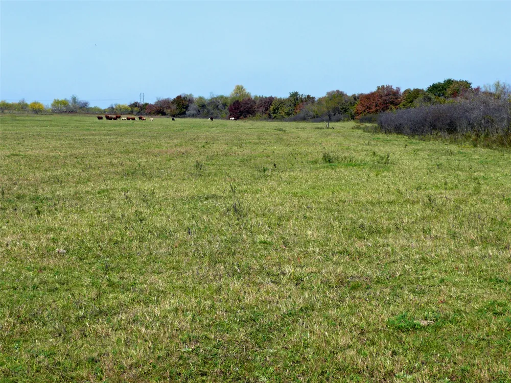 County Road 300 Dublin, TX 76446
