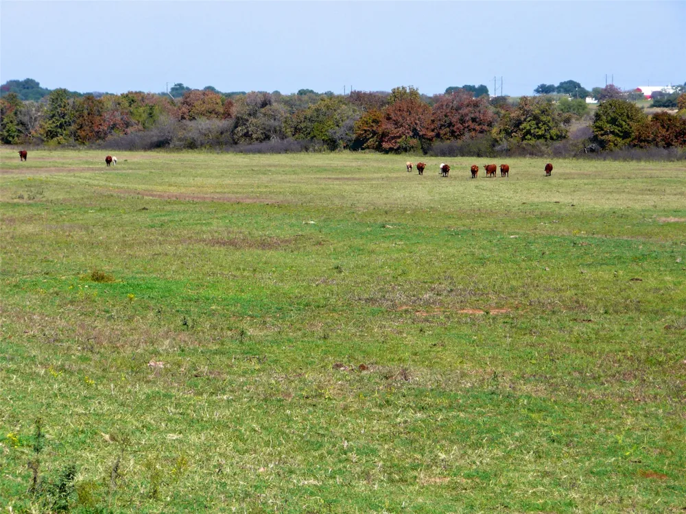 County Road 300 Dublin, TX 76446