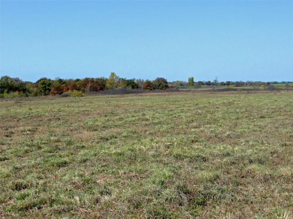 County Road 300 Dublin, TX 76446
