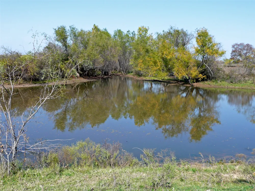 County Road 300 Dublin, TX 76446