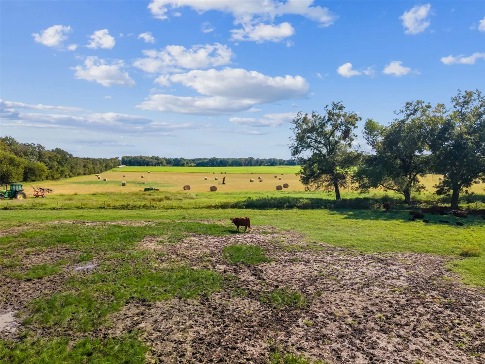 324 E Highway 6 Iredell, TX 76649