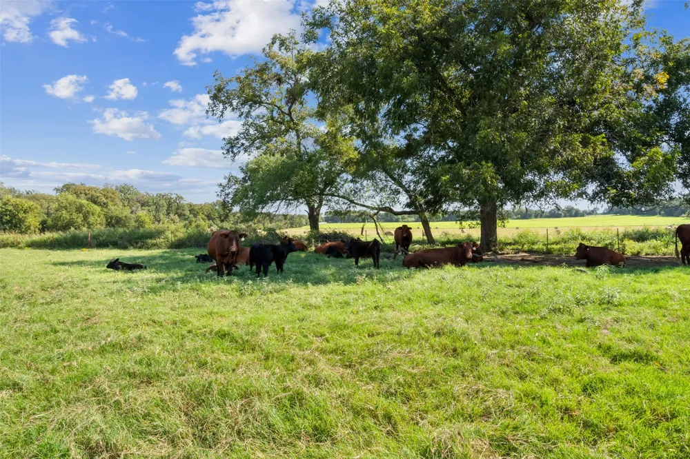 324 E Highway 6 Iredell, TX 76649