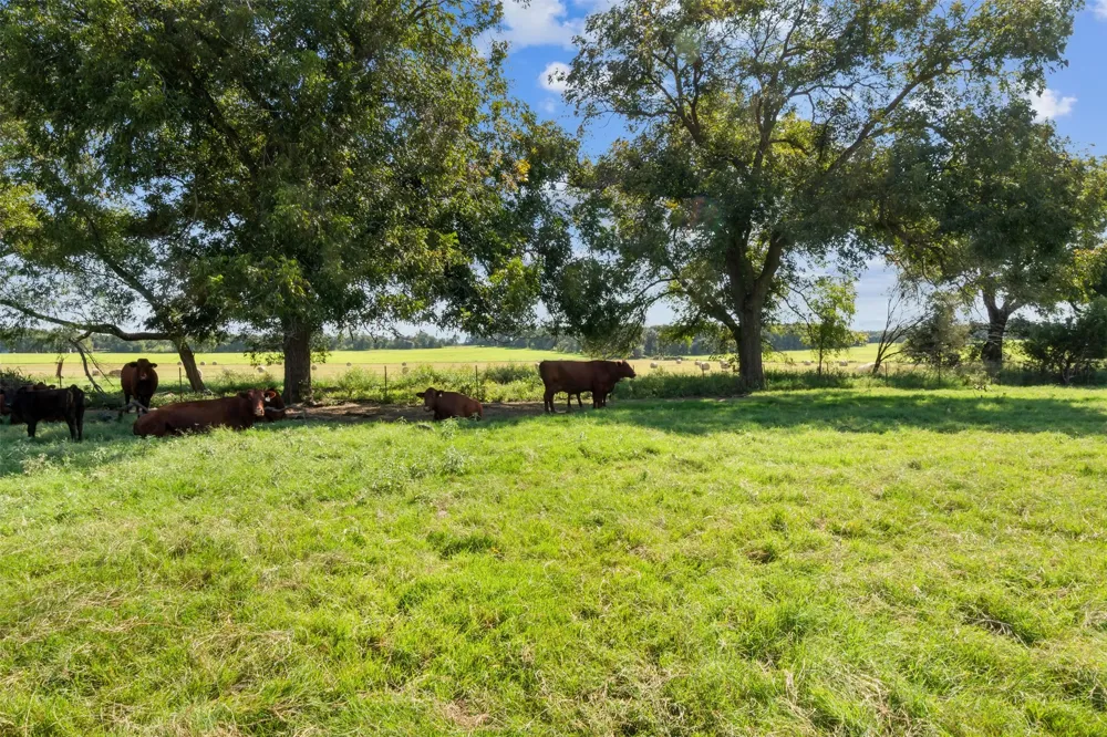 324 E Highway 6 Iredell, TX 76649