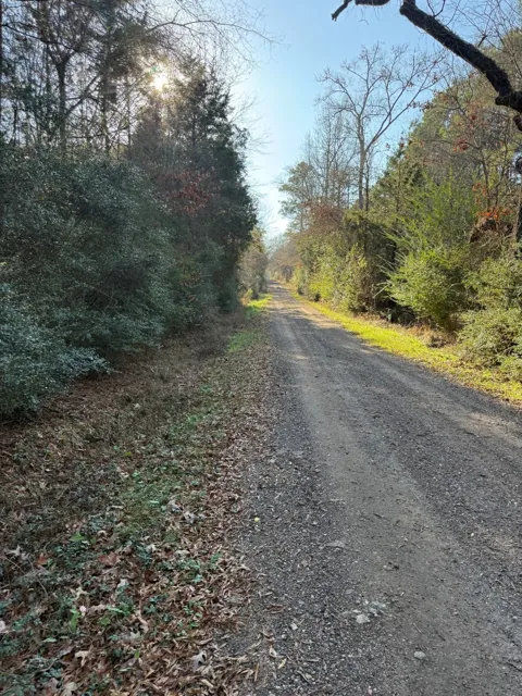 County Road 216