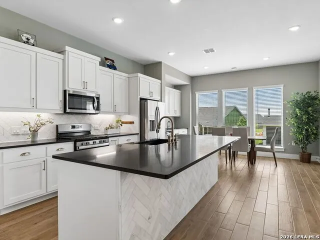 120 Wild Sage Cv San Marcos, TX 78666