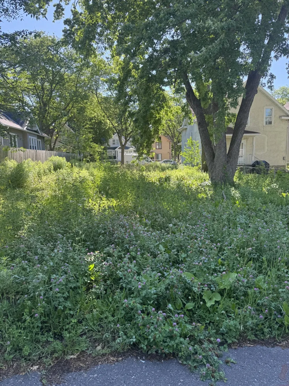 2915 Colfax Avenue Minneapolis, MN 55411