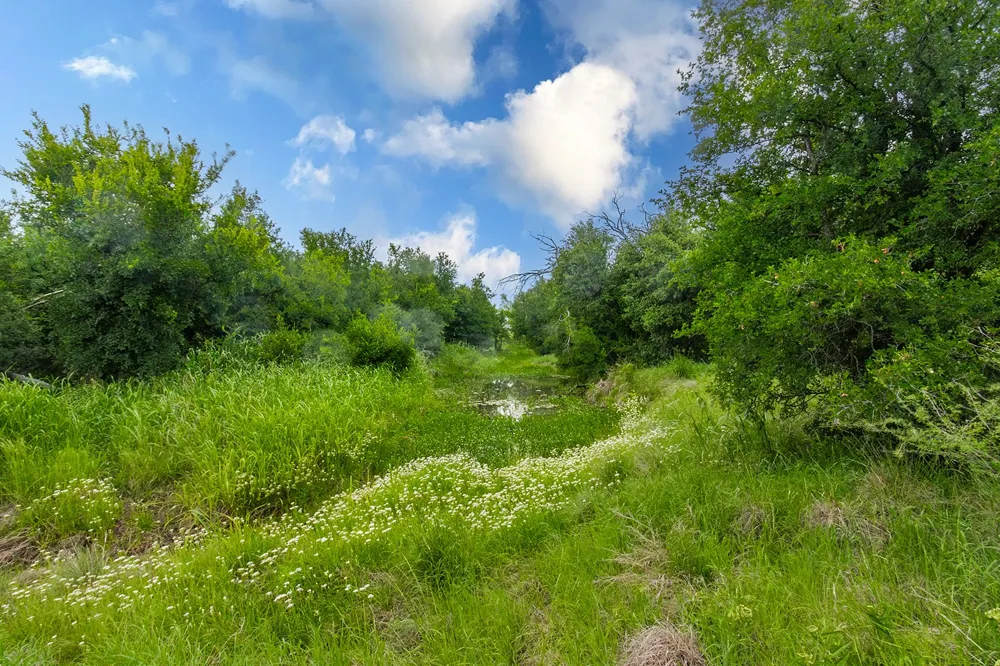 9701 County Road 201 Brownwood, TX 76801