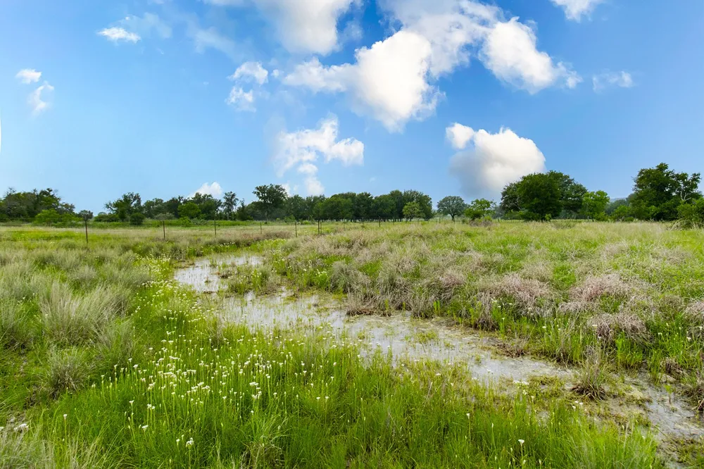 9701 County Road 201 Brownwood, TX 76801