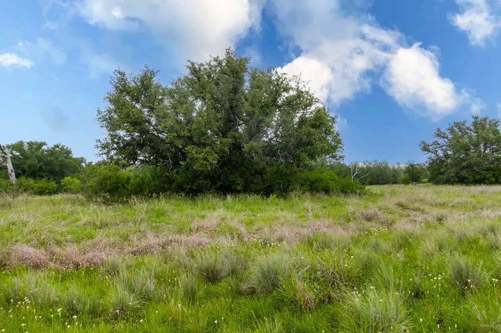 9701 County Road 201 Brownwood, TX 76801