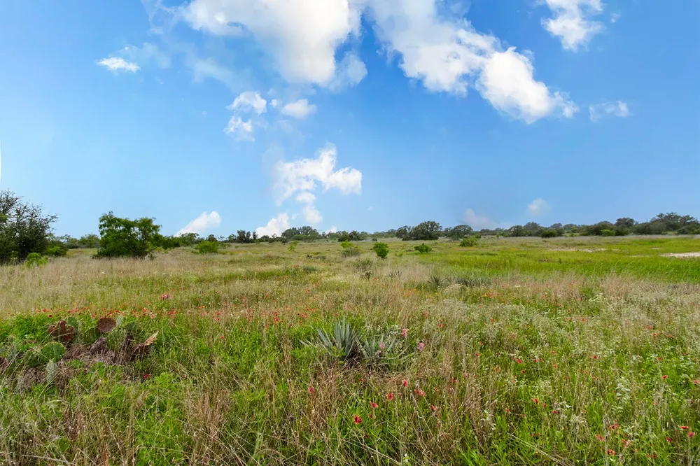9701 County Road 201 Brownwood, TX 76801