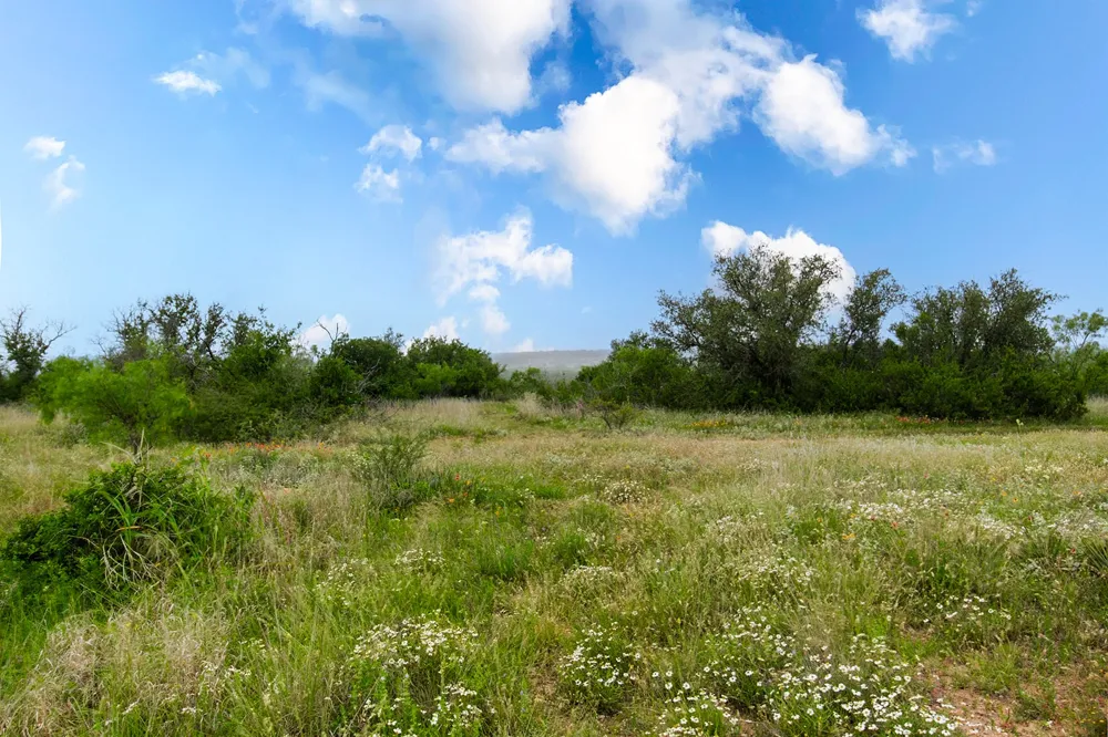 9701 County Road 201 Brownwood, TX 76801