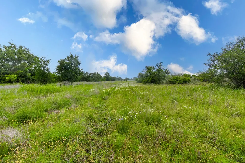 9701 County Road 201 Brownwood, TX 76801