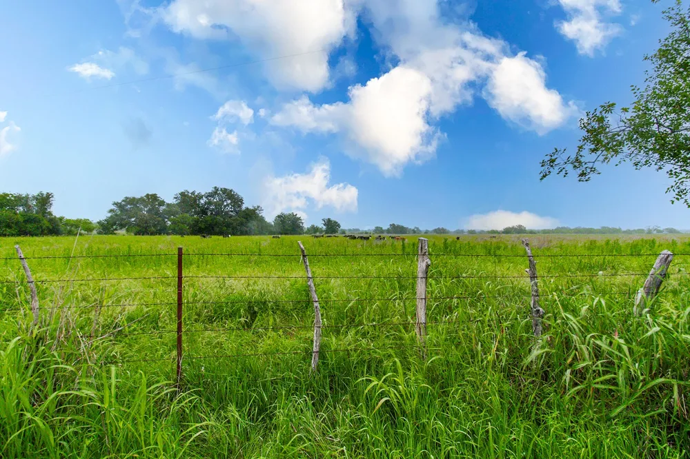 9701 County Road 201 Brownwood, TX 76801