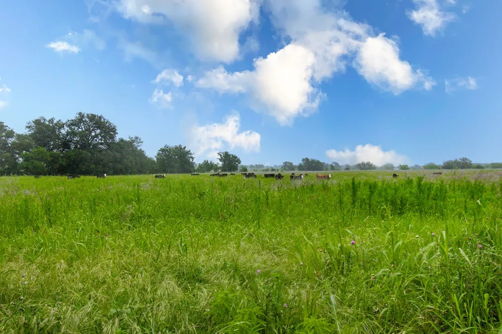 9701 County Road 201 Brownwood, TX 76801