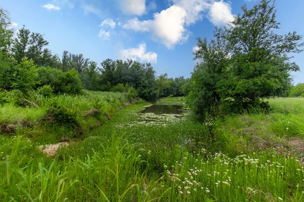 9701 County Road 201 Brownwood, TX 76801