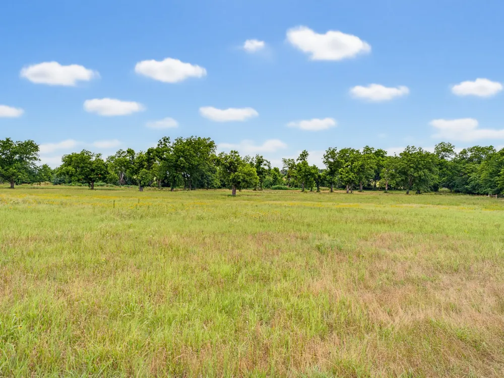 Fm 1749 Forestburg, TX 76239