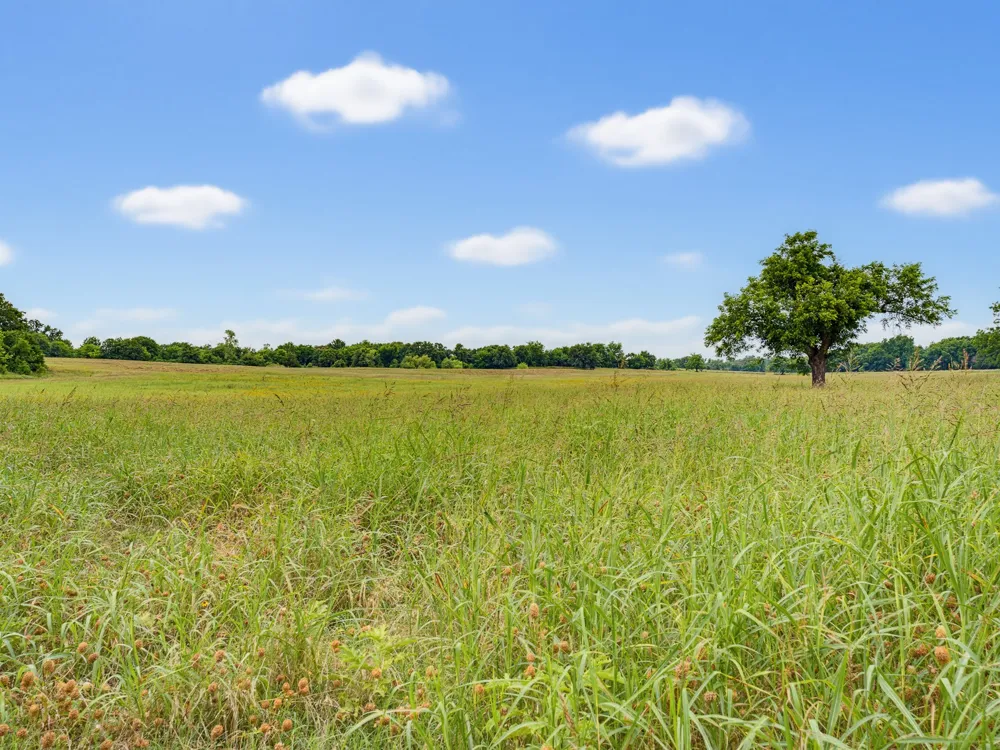Fm 1749 Forestburg, TX 76239