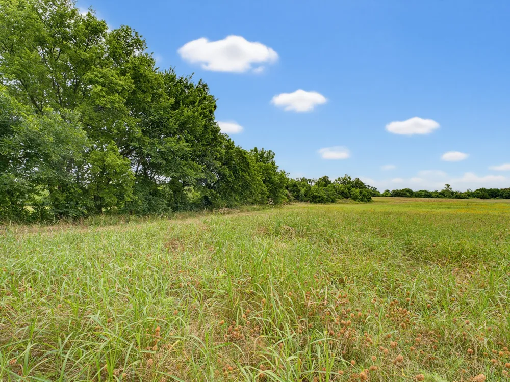 Fm 1749 Forestburg, TX 76239