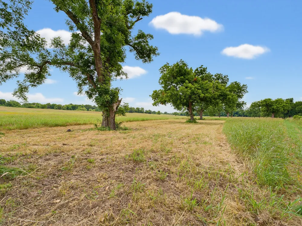 Fm 1749 Forestburg, TX 76239