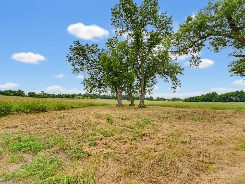 Fm 1749 Forestburg, TX 76239