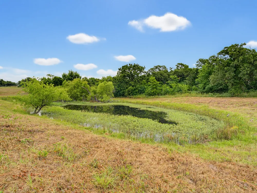 Fm 1749 Forestburg, TX 76239