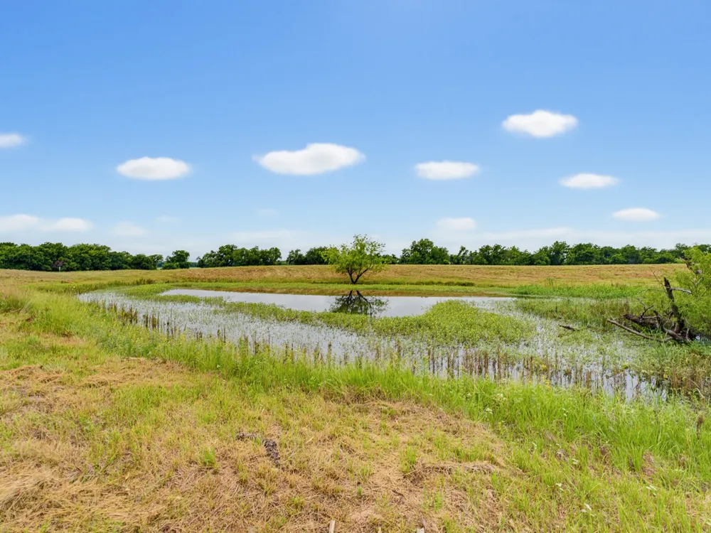 Fm 1749 Forestburg, TX 76239