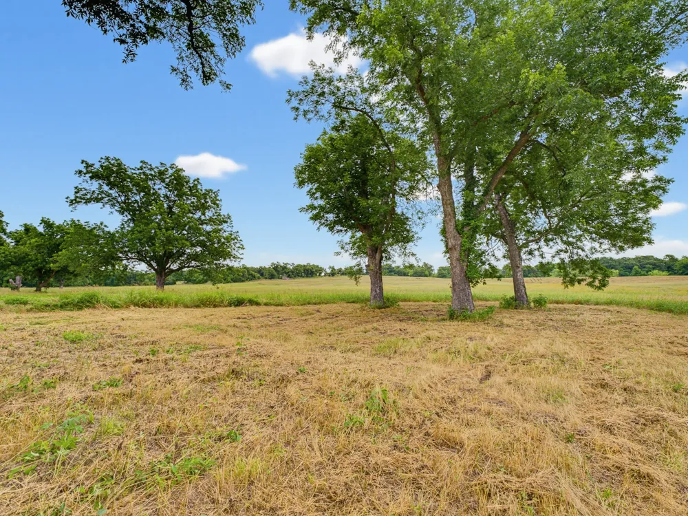 Fm 1749 Forestburg, TX 76239