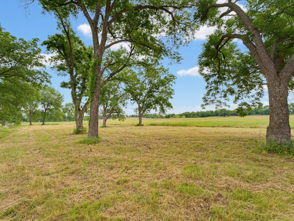 Fm 1749 Forestburg, TX 76239